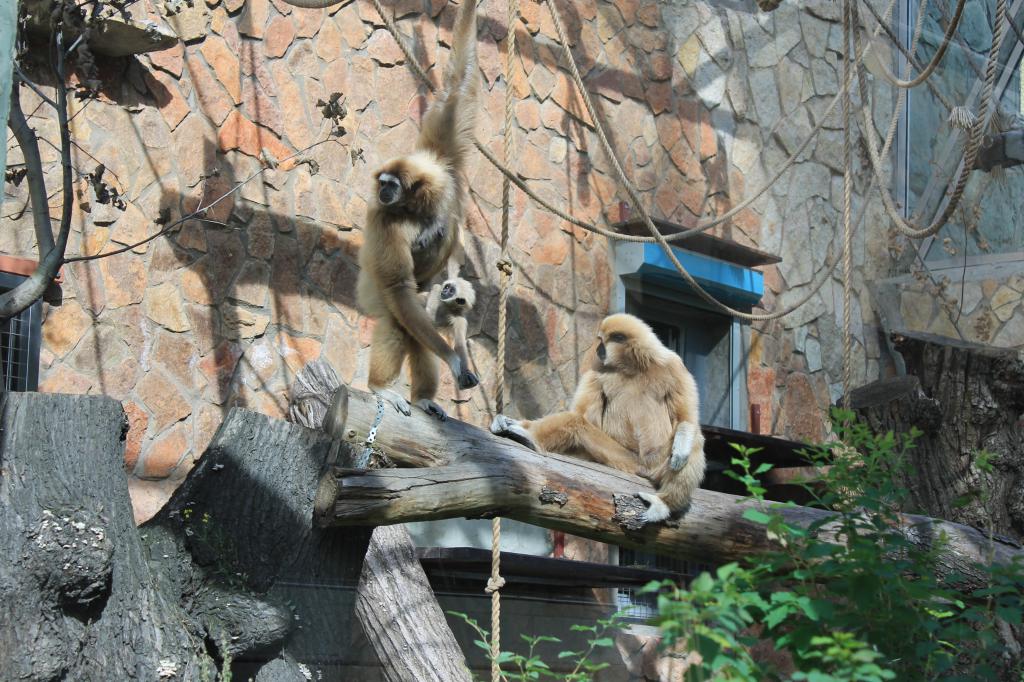 Зоопарк С-Петербург