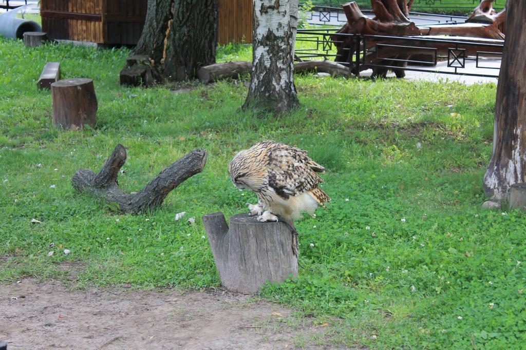 Зоопарк С-Петербург
