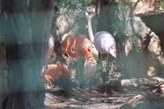 Зоопарк Кипр Пафос